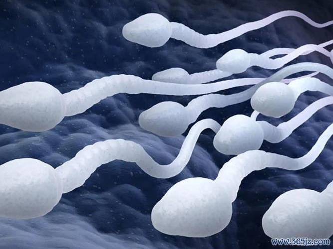 丹东试管婴儿助孕费用解析与优惠信息 丹东试管婴儿助孕费用解析与优惠信息