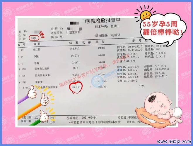 丹东试管婴儿助孕费用解析与优惠信息 丹东试管婴儿助孕费用解析与优惠信息
