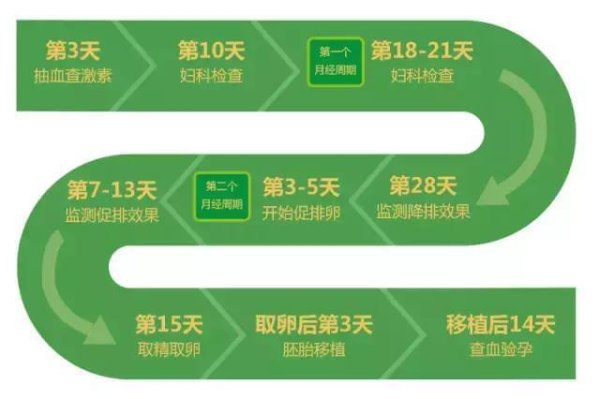 丹东试管婴儿助孕费用第四代技术价格明细