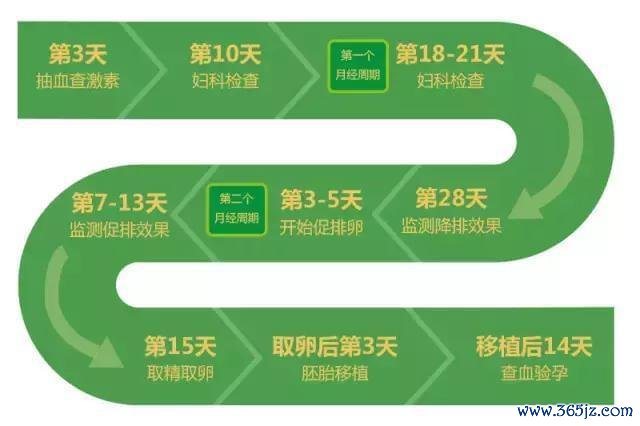 丹东试管婴儿助孕费用第四代技术价格明细
